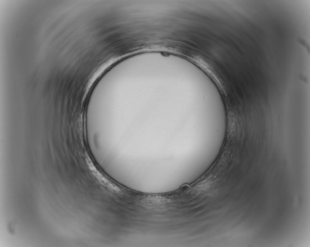 X0000100361100200806201559