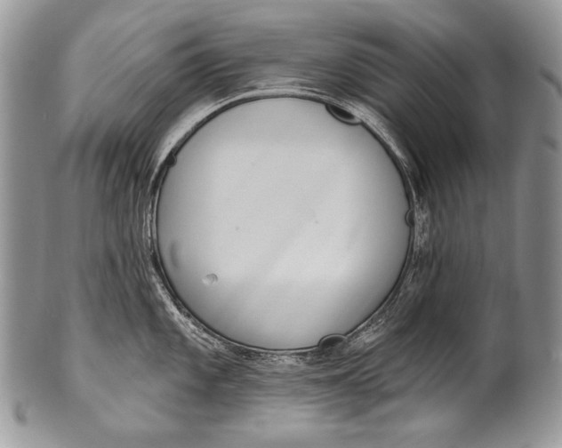 X0000100361101200806201559