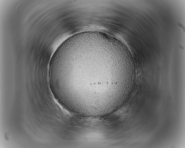 X0000100361103200806201559