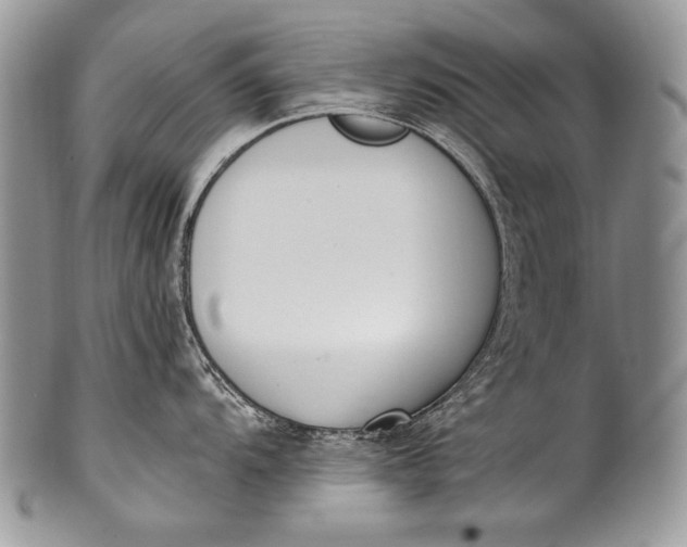 X0000100361104200806201559