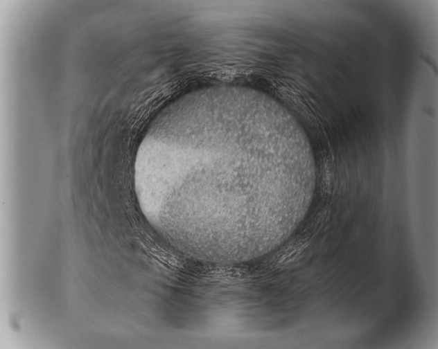 X0000100361105200806201558