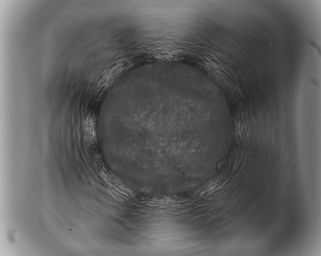 X0000100361106200806201558