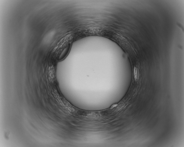 X0000100361107200806201558