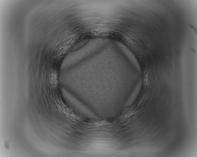 X0000100361108200806201558