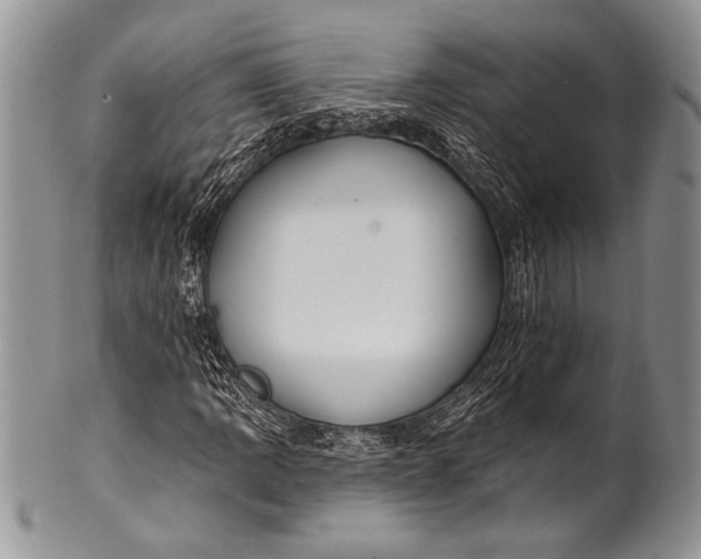 X0000100361109200806201558