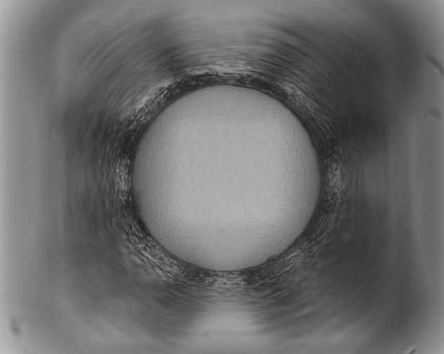 X0000100361110200806201558