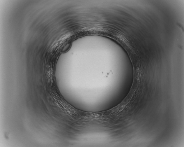 X0000100361111200806201558