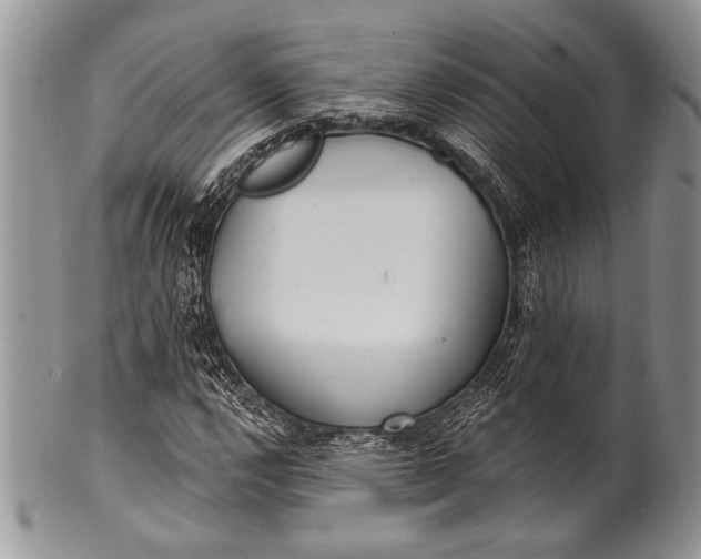 X0000100361112200806201558