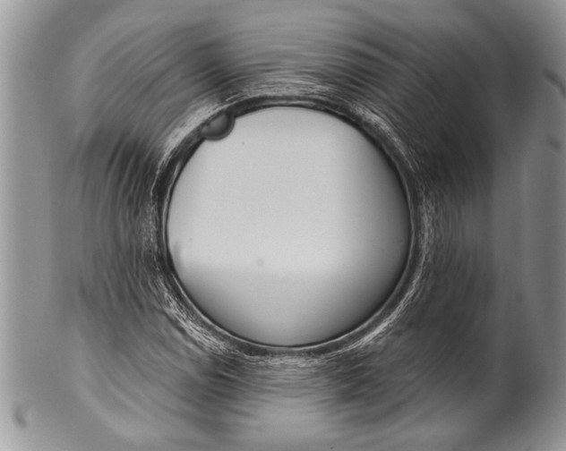 X0000100361114200806201558