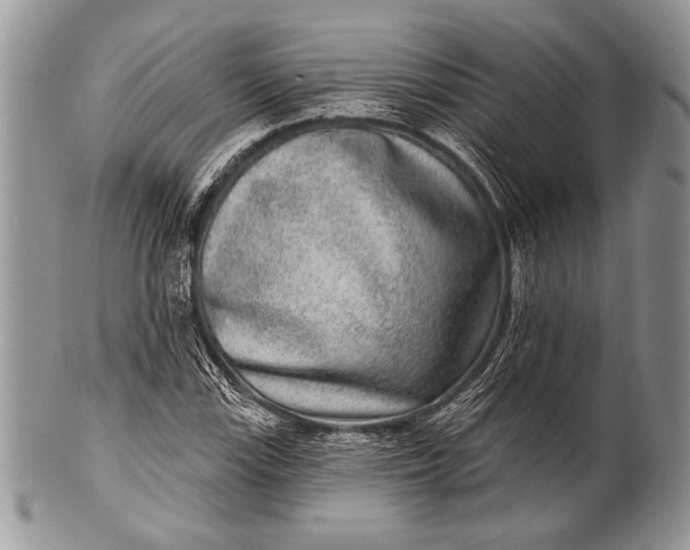 X0000100361115200806201558