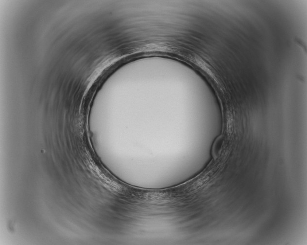 X0000100361116200806201558