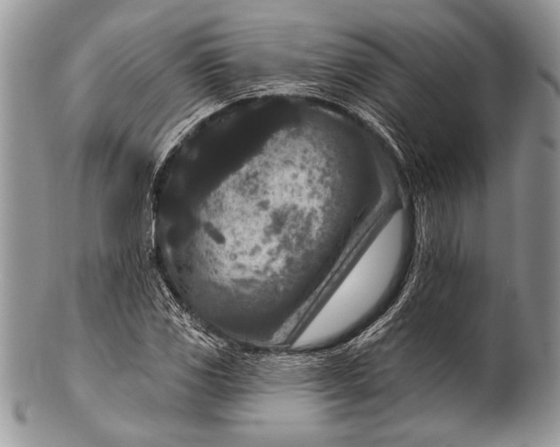 X0000100361117200806201558