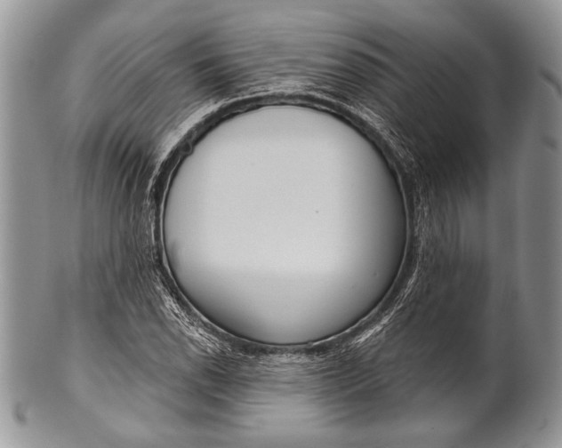 X0000100361118200806201558