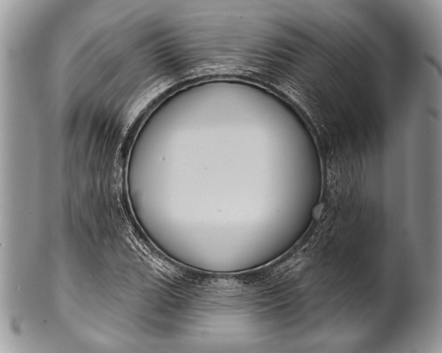 X0000100361119200806201558