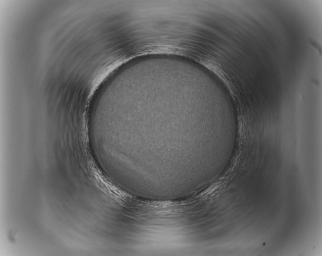 X0000100361120200806201558