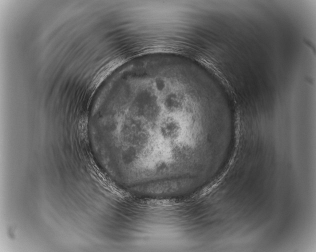 X0000100361121200806201558