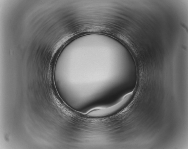 X0000100361122200806201558