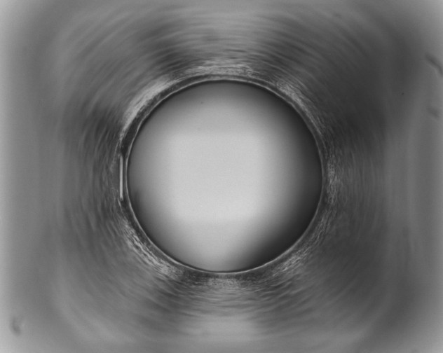 X0000100361123200806201558