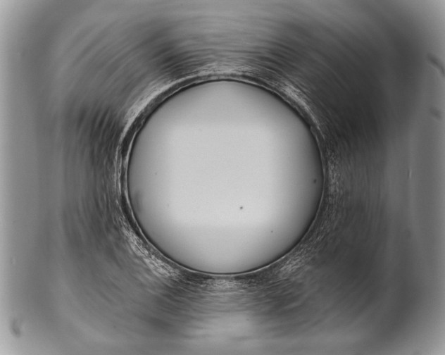 X0000100361124200806201558