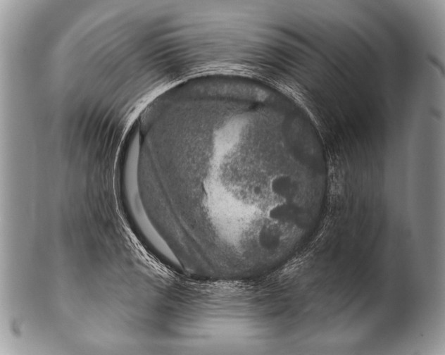 X0000100361125200806201558