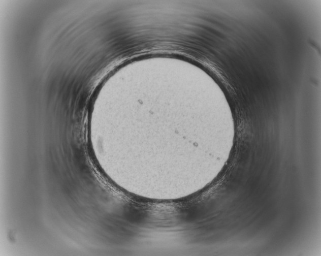 X0000100361126200806201558