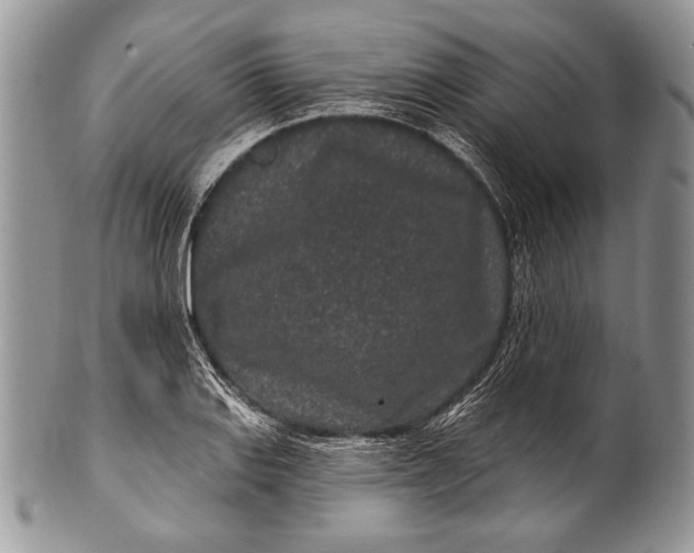 X0000100361127200806201558