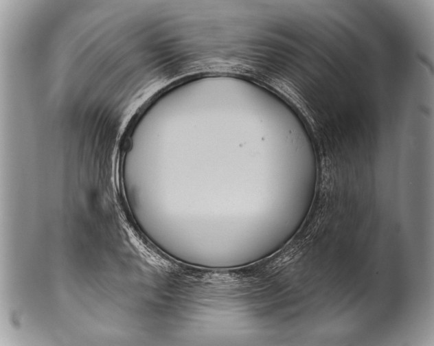 X0000100361128200806201558