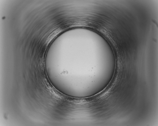 X0000100361129200806201558