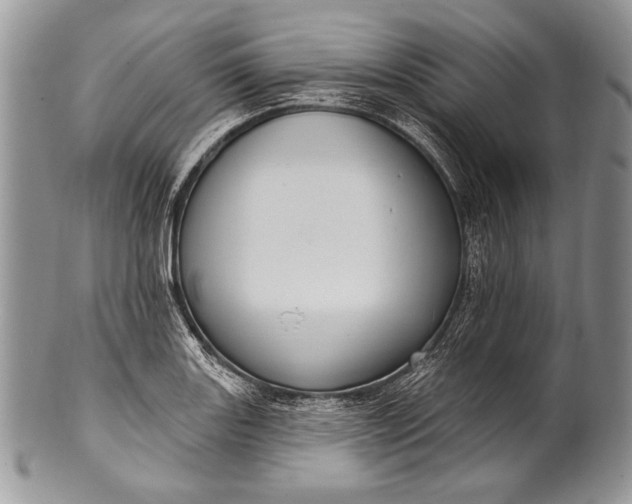 X0000100361131200806201558