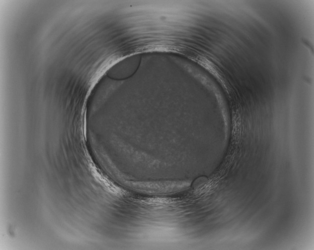 X0000100361132200806201558