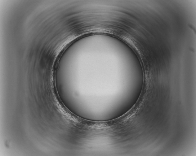 X0000100361133200806201558