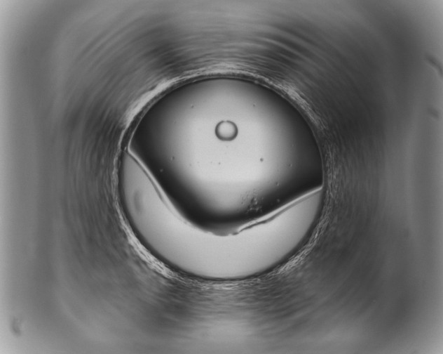 X0000100361134200806201558