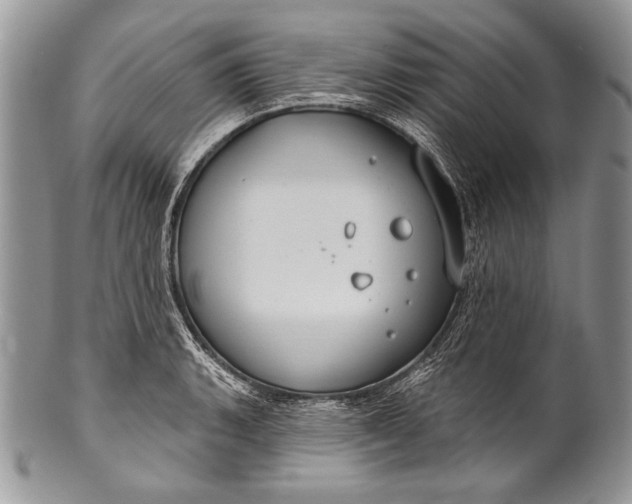 X0000100361135200806201558