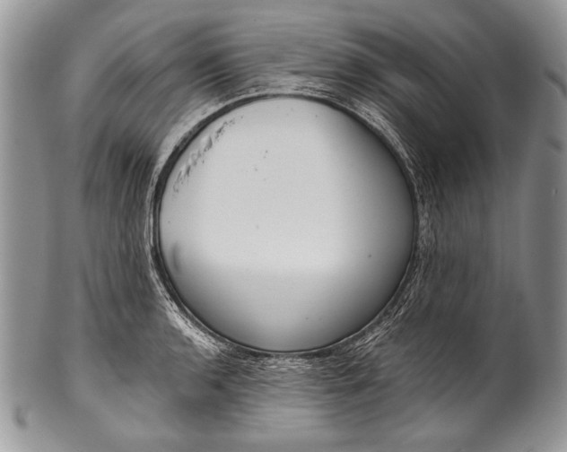 X0000100361136200806201558