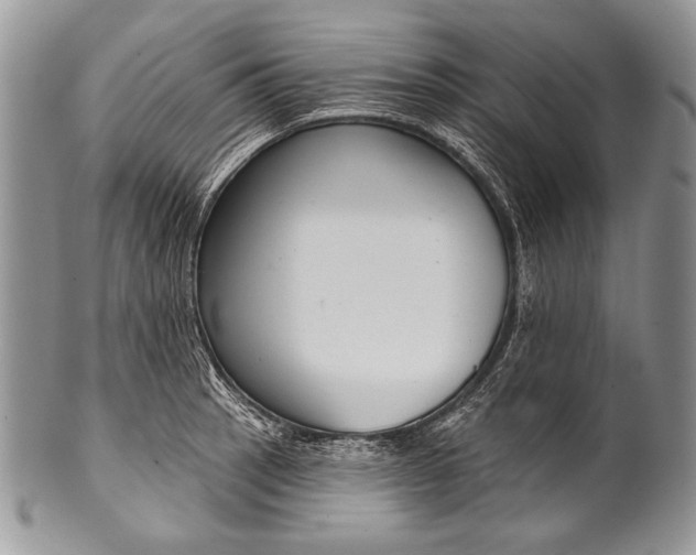 X0000100361137200806201558