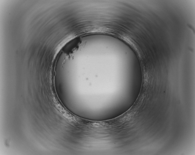 X0000100361138200806201558