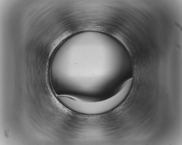 X0000100361139200806201558