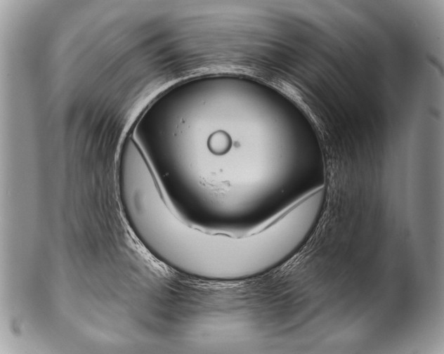 X0000100361140200806201558