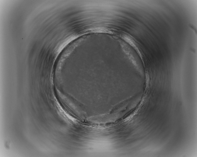 X0000100361141200806201558