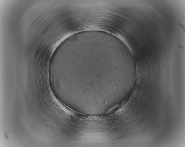 X0000100361142200806201558