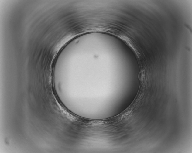 X0000100361143200806201558