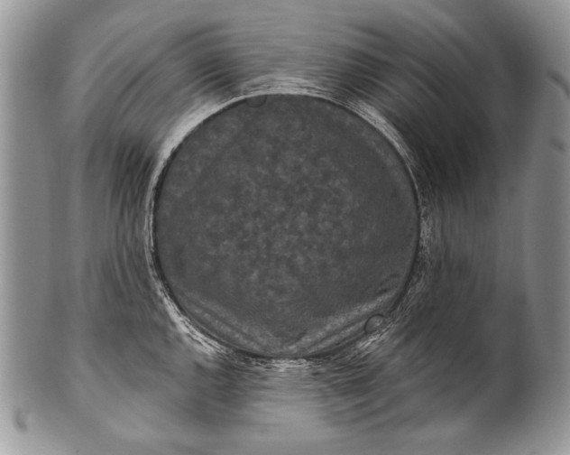 X0000100361144200806201558