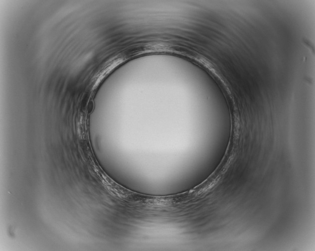 X0000100361145200806201558