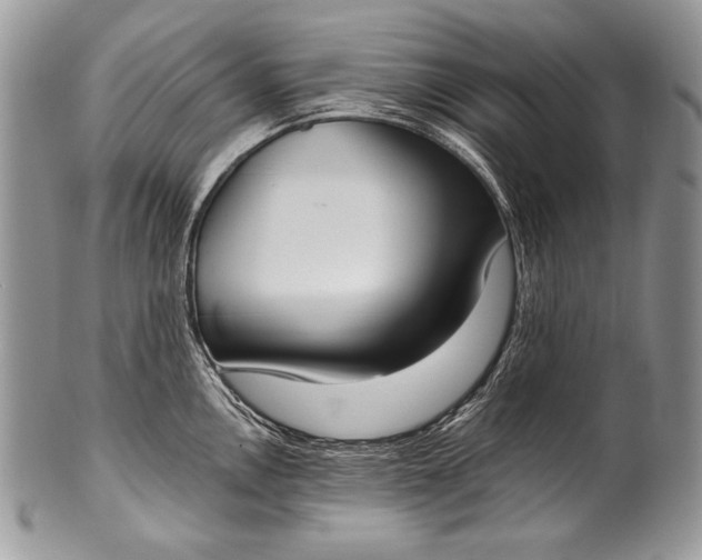 X0000100361146200806201558