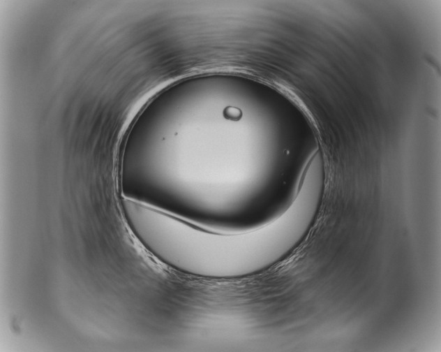 X0000100361148200806201558