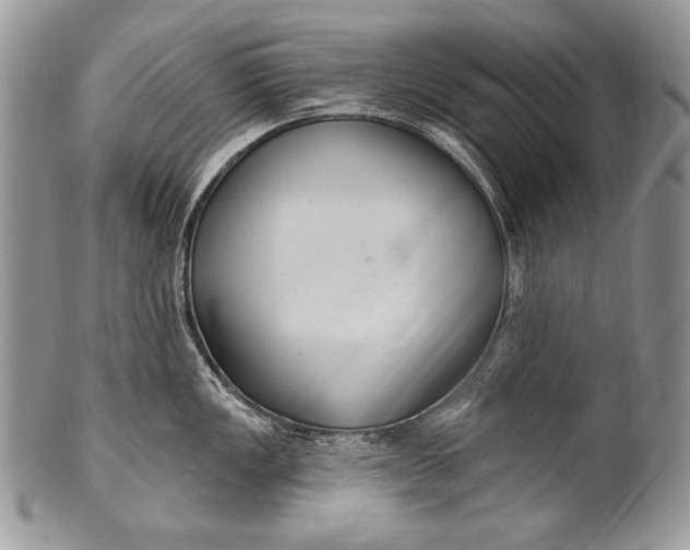 X0000100361149200806201558