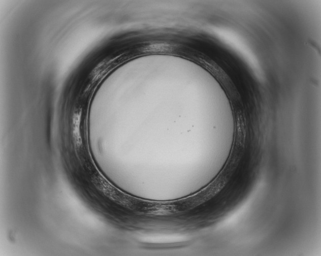 X0000100361150200806201558