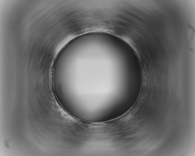 X0000100361151200806201558