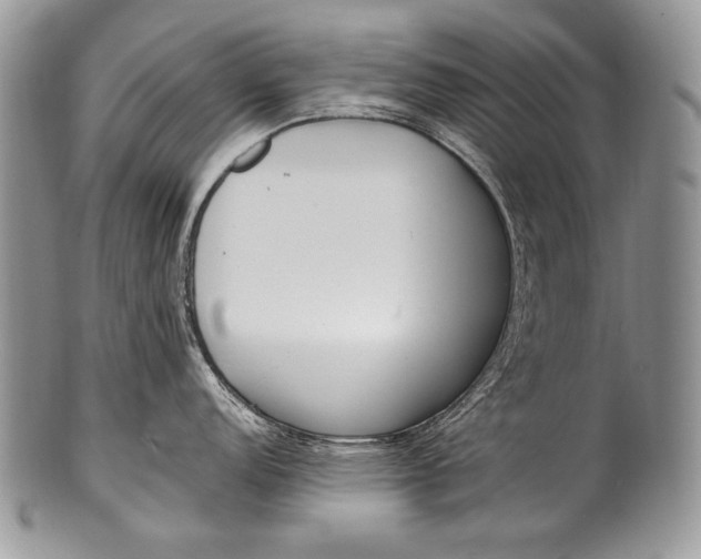 X0000100361152200806201558