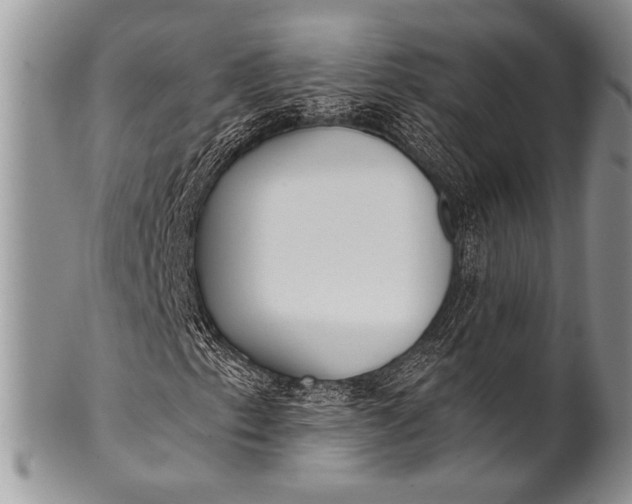 X0000100361153200806201558